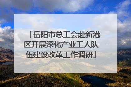 岳阳市总工会赴新港区开展深化产业工人队伍建设改革工作调研