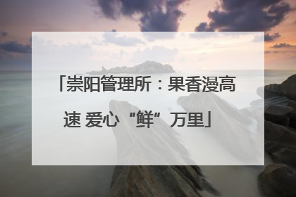 崇阳管理所：果香漫高速 爱心“鲜”万里