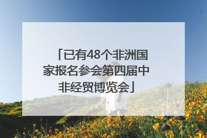 已有48个非洲国家报名参会第四届中非经贸博览会