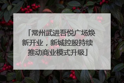 常州武进吾悦广场焕新开业，新城控股持续推动商业模式升级