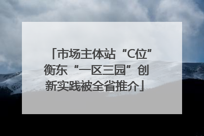 市场主体站“C位” 衡东“一区三园”创新实践被全省推介