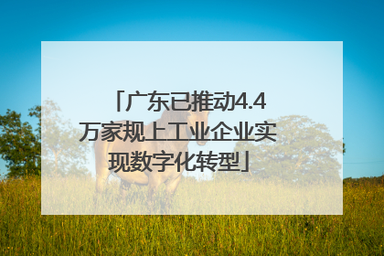 广东已推动4.4万家规上工业企业实现数字化转型