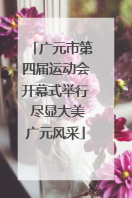 广元市第四届运动会开幕式举行 尽显大美广元风采