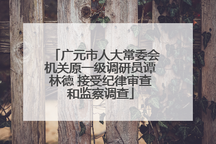 广元市人大常委会机关原一级调研员谭林德 接受纪律审查和监察调查
