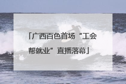 广西百色首场“工会帮就业”直播落幕