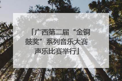 广西第二届“金铜鼓奖”系列音乐大赛声乐比赛举行