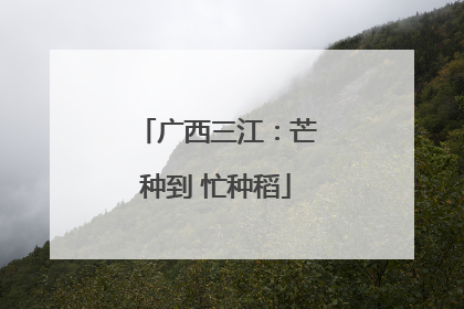 广西三江：芒种到 忙种稻