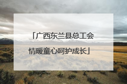 广西东兰县总工会情暖童心呵护成长