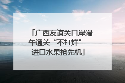 广西友谊关口岸端午通关“不打烊” 进口水果抢先机