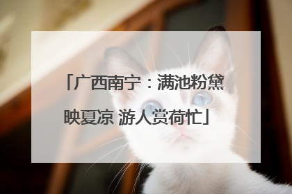 广西南宁：满池粉黛映夏凉 游人赏荷忙