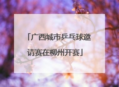 广西城市乒乓球邀请赛在柳州开赛