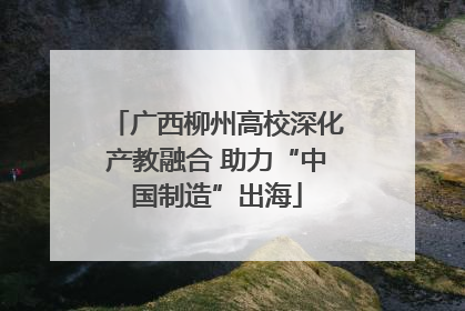 广西柳州高校深化产教融合 助力“中国制造”出海