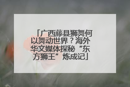 广西藤县狮舞何以舞动世界？海外华文媒体探秘“东方狮王”炼成记