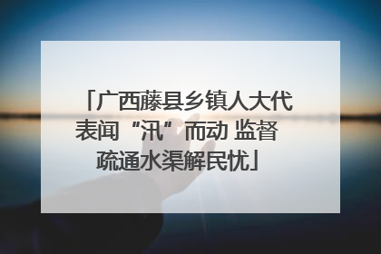 广西藤县乡镇人大代表闻“汛”而动 监督疏通水渠解民忧