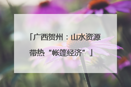 广西贺州：山水资源带热“帐篷经济”