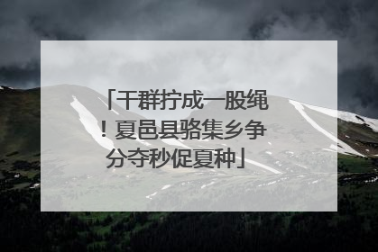 干群拧成一股绳！夏邑县骆集乡争分夺秒促夏种