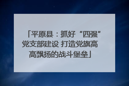 平原县：抓好“四强”党支部建设 打造党旗高高飘扬的战斗堡垒