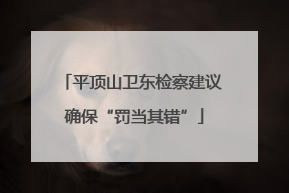平顶山卫东检察建议确保“罚当其错”
