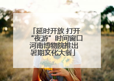 延时开放 打开“夜游”时间窗口 河南博物院推出暑期文化大餐