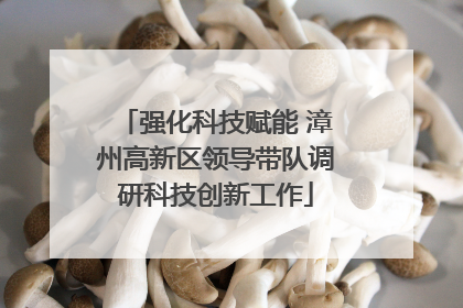 强化科技赋能 漳州高新区领导带队调研科技创新工作