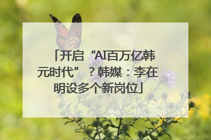开启“AI百万亿韩元时代”？韩媒：李在明设多个新岗位