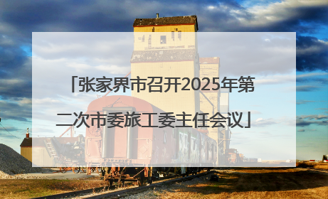 张家界市召开2025年第二次市委旅工委主任会议
