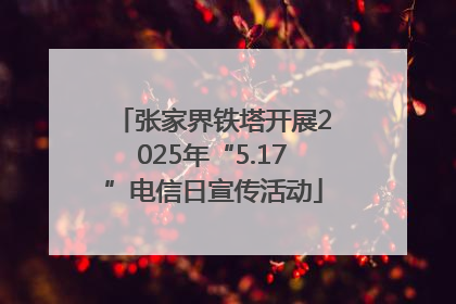 张家界铁塔开展2025年“5.17”电信日宣传活动