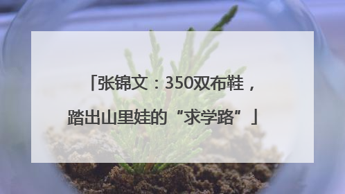 张锦文：350双布鞋，踏出山里娃的“求学路”