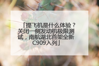 提飞机是什么体验？关闭一侧发动机极限测试，南航湖北首架全新C909入列
