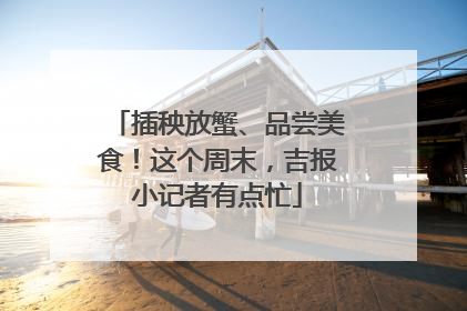 插秧放蟹、品尝美食！这个周末，吉报小记者有点忙