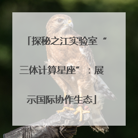 探秘之江实验室“三体计算星座”：展示国际协作生态