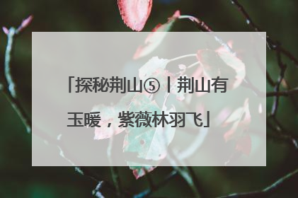 探秘荆山⑤丨荆山有玉暖，紫薇林羽飞