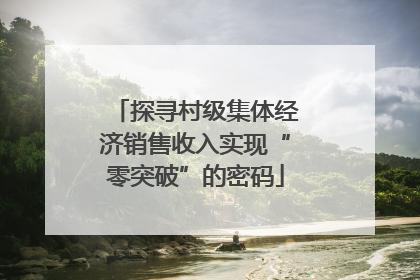 探寻村级集体经济销售收入实现“零突破”的密码