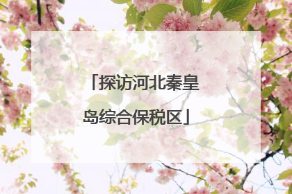 探访河北秦皇岛综合保税区