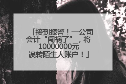 接到报警！一公司会计“闯祸了”，将10000000元误转陌生人账户！