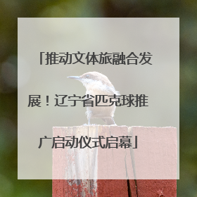 推动文体旅融合发展！辽宁省匹克球推广启动仪式启幕