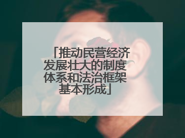 推动民营经济发展壮大的制度体系和法治框架基本形成