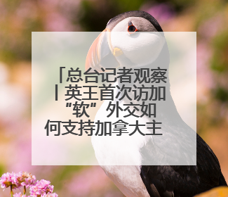 总台记者观察丨英王首次访加 “软”外交如何支持加拿大主权？
