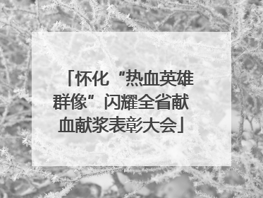 怀化“热血英雄群像”闪耀全省献血献浆表彰大会