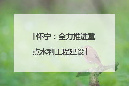 怀宁：全力推进重点水利工程建设
