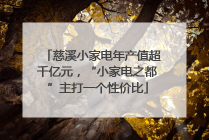 慈溪小家电年产值超千亿元，“小家电之都”主打一个性价比