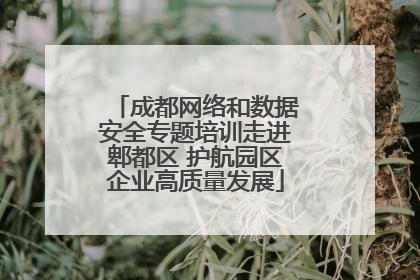 成都网络和数据安全专题培训走进郫都区 护航园区企业高质量发展