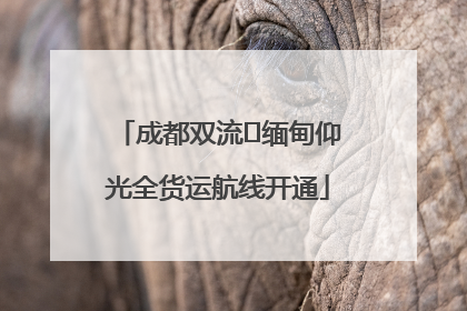 成都双流⇌缅甸仰光全货运航线开通