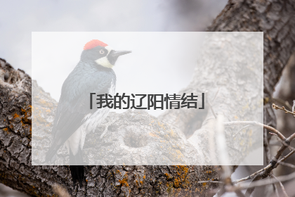 我的辽阳情结