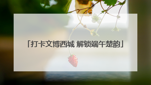 打卡文博西城 解锁端午楚韵