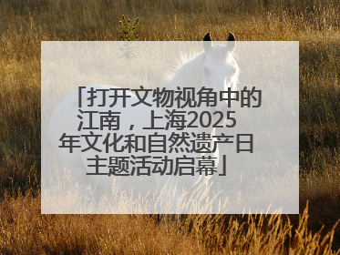 打开文物视角中的江南，上海2025年文化和自然遗产日主题活动启幕