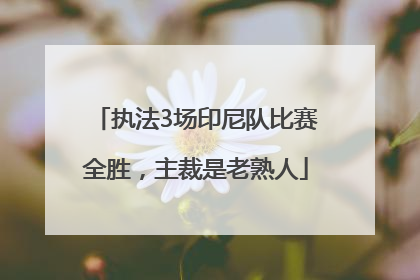 执法3场印尼队比赛全胜，主裁是老熟人