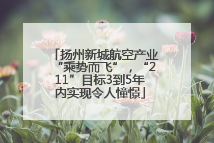 扬州新城航空产业“乘势而飞”，“211”目标3到5年内实现令人憧憬