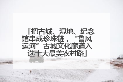 把古城、湿地、纪念馆串成珍珠链，“鲁风运河”古城文化廊道入选十大最美农村路