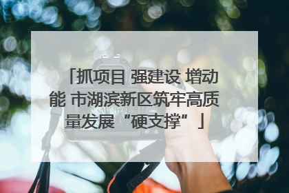 抓项目 强建设 增动能 市湖滨新区筑牢高质量发展“硬支撑”